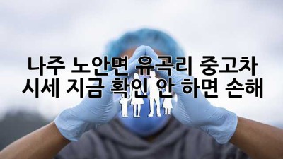 나주 노안면 유곡리 중고차 시세, 지금 확인 안 하면 손해?! 🚗💨