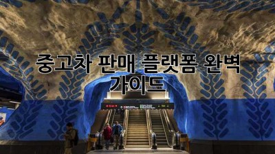 중고차 판매 플랫폼 완벽 가이드